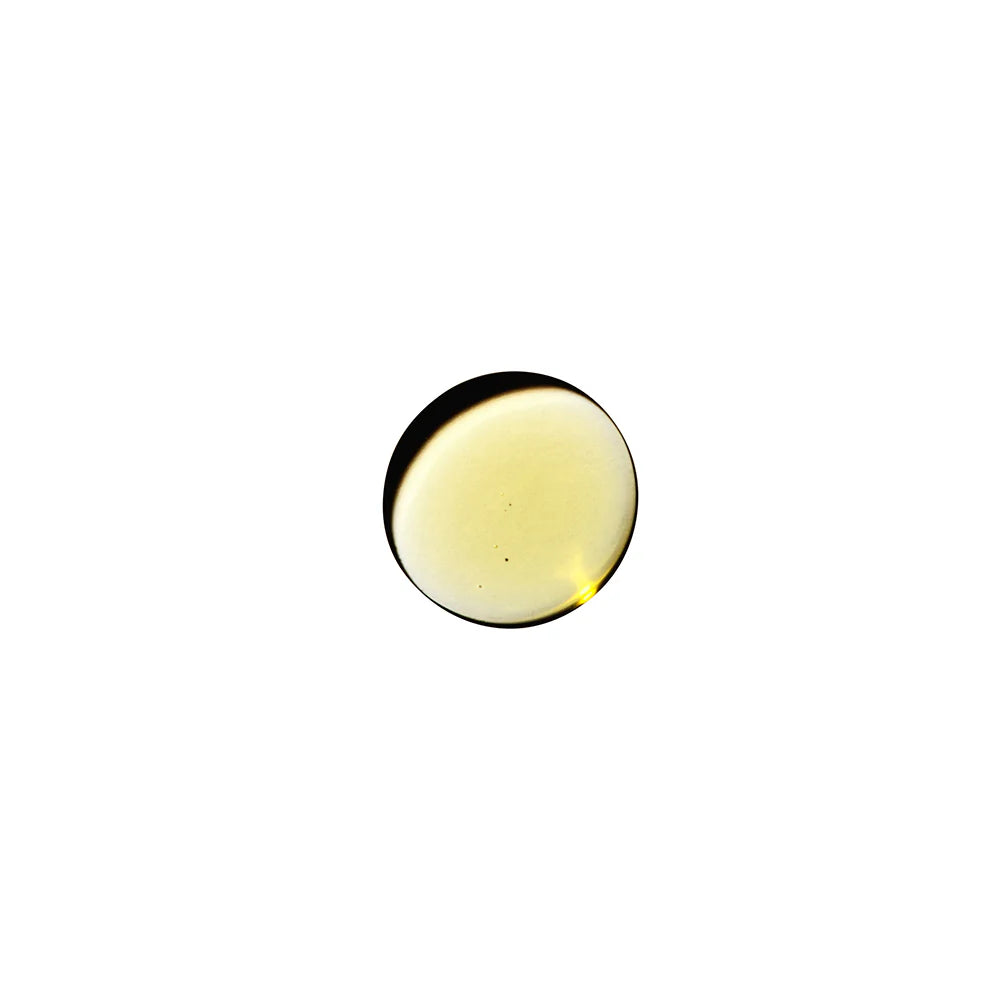 Dame Massage Oil 2 oz.